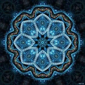 Meet your Posher, Michele