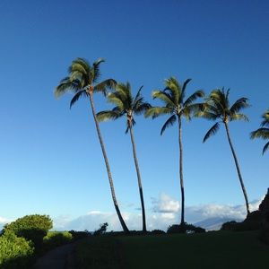 Meet your Posher, Ellen