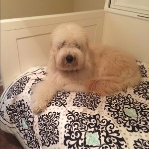 Meet your Posher, Grace