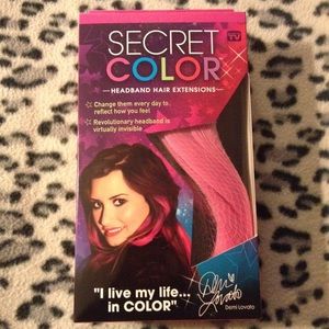 Demi Lovato Secret Color Hair Extensions in Pink