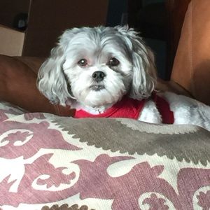 Meet your Posher, Claudia