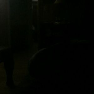 Meet your Posher, Sierra