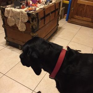 Meet your Posher, Linda