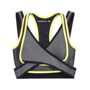 FLASH SALE Alexander Wang x H&M Sporty Bra Top