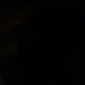 Meet your Posher, Lynda