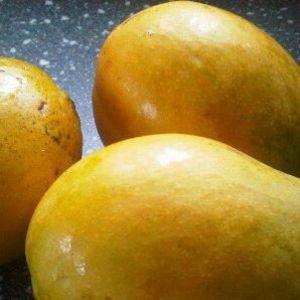 Meet your Posher, Sandy