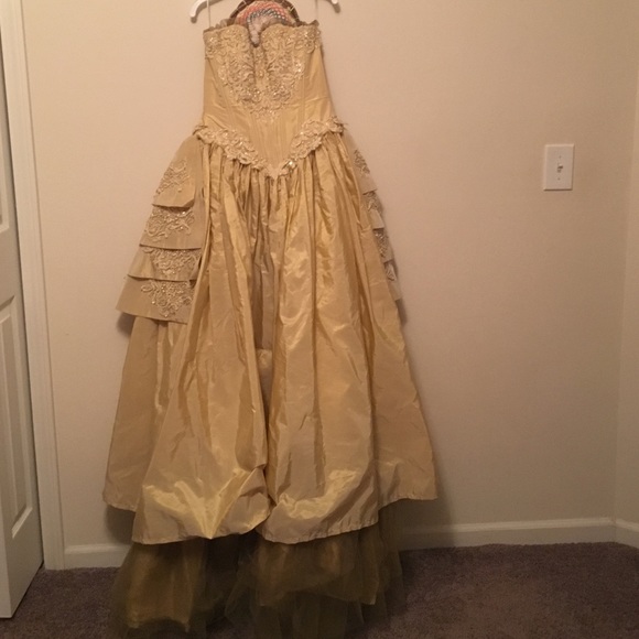 Prom/Quinceañera dress.