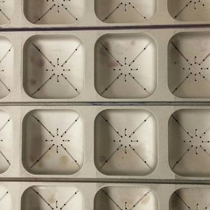 Meet your Posher, Aubreyanna