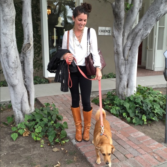 Meet your Posher, Corbin - Picture 7 of 7