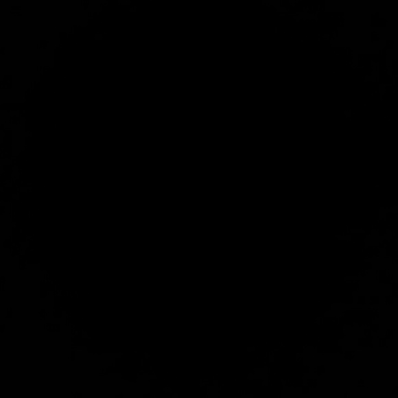 Meet your Posher, Michael - Picture 1 of 1