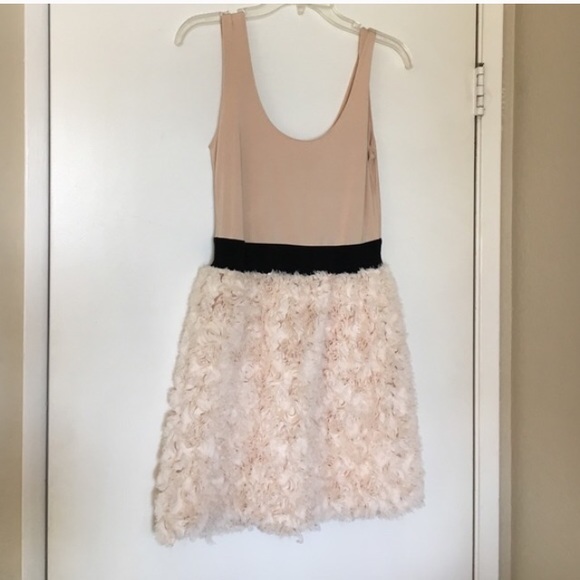Zara ruffle dress