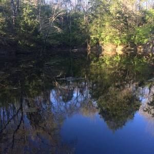 Meet your Posher, Emilynne