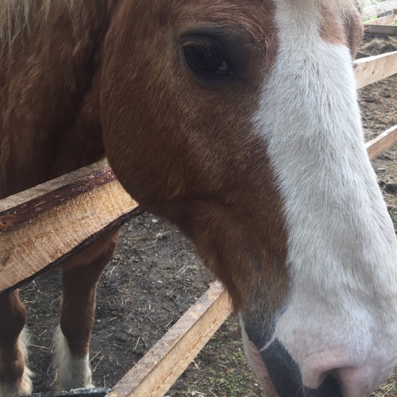 Hey Poshers‼️ - Picture 3 of 3