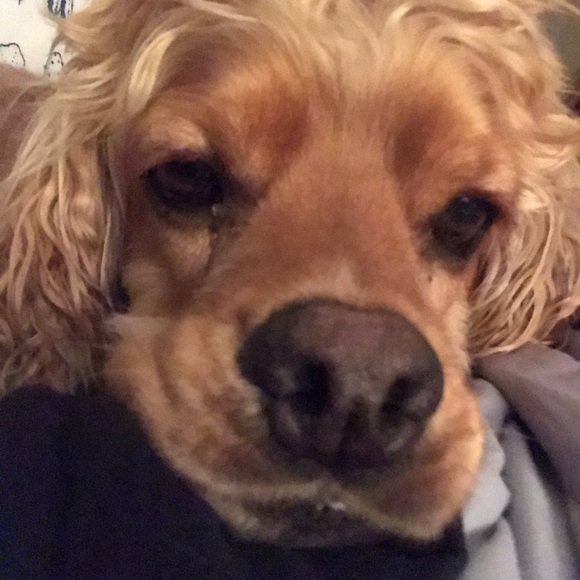 Meet your Posher, Karina - Picture 2 of 4