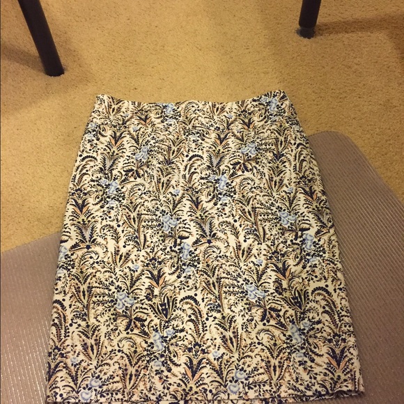 NWT AnnTaylor skirt