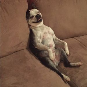 Meet your Posher, Alexa