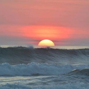 Meet your Posher, Robin