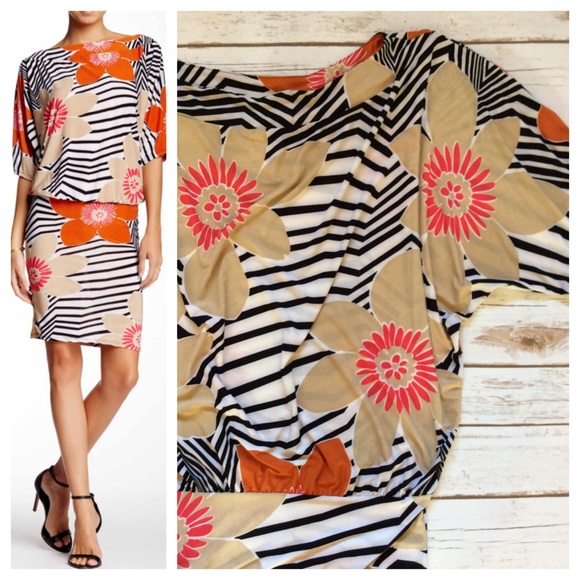 Dresses & Skirts - Drop Waist Dolman Dress