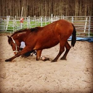 Meet your Posher, Leianna