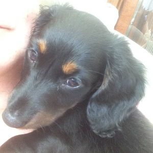 Meet your Posher, Gail