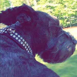 Meet your Posher, Laina