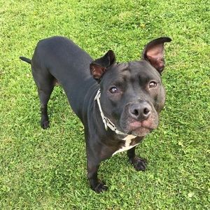 Meet your Posher, Kate