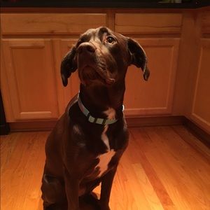 Meet your Posher, Dori