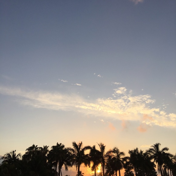 In Mexico until sat🍸☀️🌴✈️