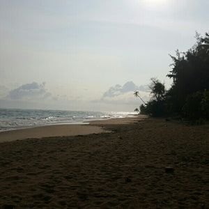 Meet your Posher, Lou