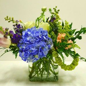 Meet your Posher, Holly