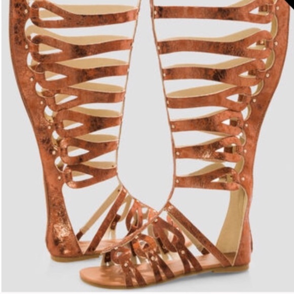 Bronze knee high gladiator sandals