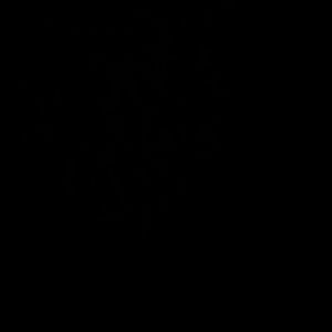 Meet your Posher, Nichole