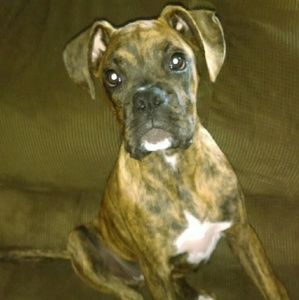 Meet your Posher, Lori