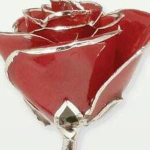 Meet your Posher, Sheila