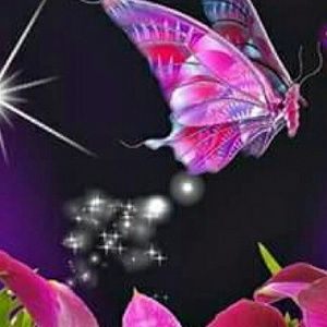 Meet your Posher, Ange