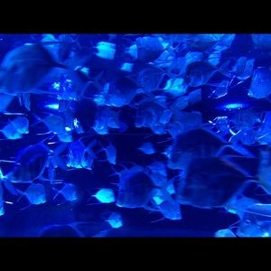 Meet your Posher, Delia