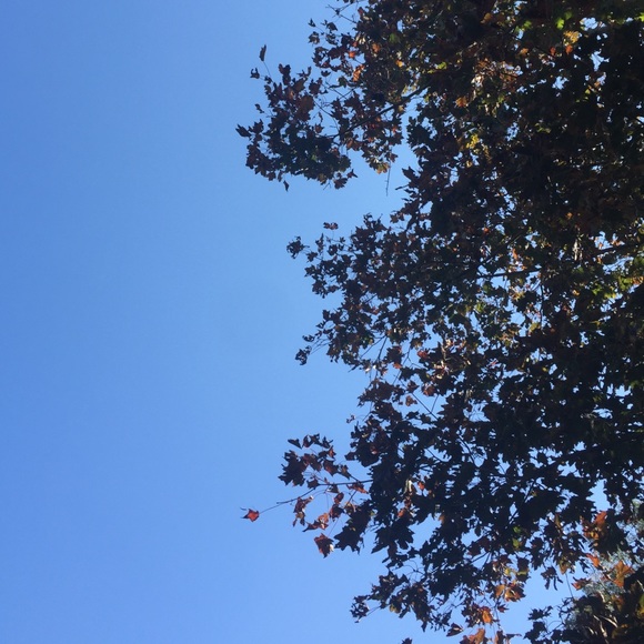 Meet your Posher, Gail