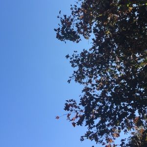 Meet your Posher, Gail