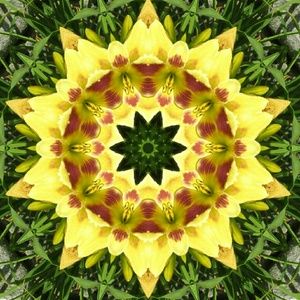 Meet your Posher, Stacey