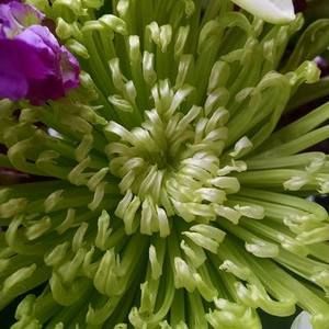 Meet your Posher, Sandy