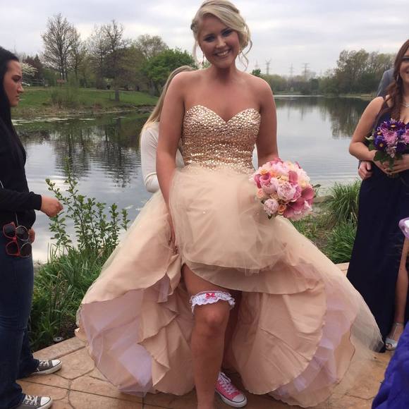 Meet your Posher, Taylor - Picture 1 of 1