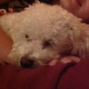 Meet your Posher, Natalie