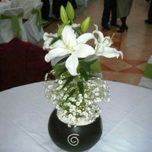 Meet your Posher, Miriam