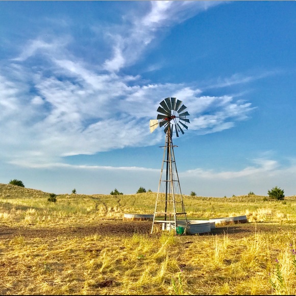 Meet your Posher, Tammy - Picture 8 of 8