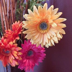 Meet your Posher, Vivian