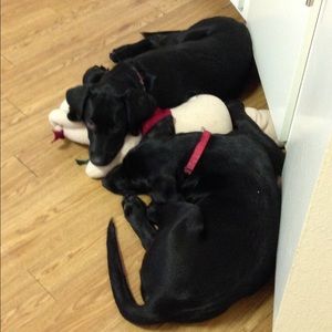 Meet your Posher, Tamara