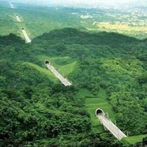 Meet your Posher, Raul