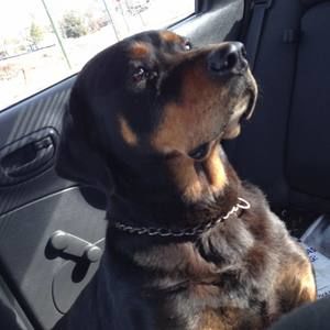 Meet your Posher, Angela