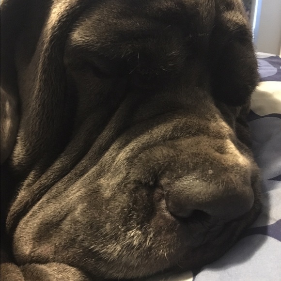 ๐พ๐พ๐พ๐พ๐พ๐พ๐พ๐พ๐พ๐พ๐พ๐พ - Picture 4 of 7