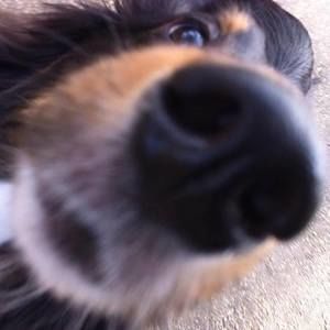 Meet your Posher, Astrid